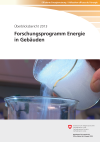 Forschungsprogramm Energie in Gebäuden - Überblicksbericht 2013
