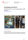 Programm Elektrizität - Überblicksbericht zum Forschungsprogramm 2006