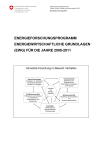 Energieforschungsprogramm Energiewirtschaftliche Grundlagen (EWG) für die Jahre 2008-2011