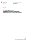 Forschungsprogramm Energie–Wirtschaft–Gesellschaft - Synthesebericht 2009 der BFE-Programmleiterin