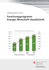 Forschungsprogramm Energie–Wirtschaft–Gesellschaft - Überblicksbericht 2012
