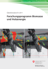 Forschungsprogramm Biomasse und Holzenergie - Überblicksbericht 2011
