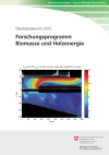 Forschungsprogramm Biomasse und Holzenergie - Überblicksbericht 2012
