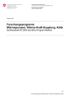 Forschungsprogramm Wärmepumpen, Wärme-Kraft-Kopplung, Kälte - Synthesebericht 2009 des BFE-Programmleiters