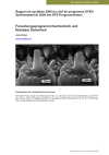 Forschungsprogramm Kerntechnik und Nukleare Sicherheit - Synthesebericht 2008 des BFE-Programmleiters