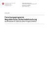 Forschungsprogramm Regulatorische Sicherheitsforschung - Synthesebericht 2009 des BFE-Programmleiters