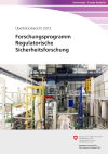 Forschungsprogramm Regulatorische Sicherheitsforschung - Überblicksbericht 2012