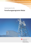 Forschungsprogramm Netze - Überblicksbericht 2012