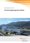 Forschungsprogramm Netze - Überblicksbericht 2013