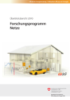 Forschungsprogramm Netze - Überblicksbericht 2010