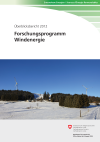 Forschungsprogramm Windenergie - Überblicksbericht 2012