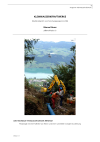 Kleinwasserkraftwerke. Überblicksbericht zum Forschungsprogramm 2004