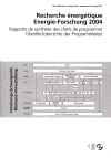Energieforschung 2004. Überblicksberichte der Programmleiter
