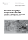 Energieforschung 2006. Überblicksberichte der Programmleiter