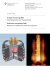 Energie-Forschung 2008. Überblicksberichte der Programmleiter