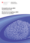 Energie-Forschung 2009. Überblicksberichte der Programmleiter