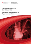 Energie-Forschung 2010. Überblicksberichte der Programmleiter