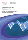 Energie-Forschung 2013. Überblicksberichte der Programmleiter