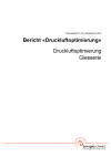 Bericht Druckluftoptimierung - Giesserei