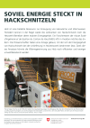 Soviel Energie steckt in Hackschnitzeln
