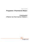 Programm «Thermische Netze»: Risiken bei thermischen Netzen