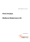 Pinch-Analyse Molkerei Biedermann AG
