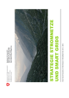 Strategie Stromnetze und Smart Grids