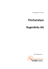 Pinchanalyse - Rugenbräu AG